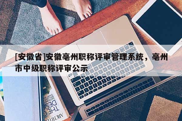 [安徽省]安徽亳州職稱(chēng)評(píng)審管理系統(tǒng)，亳州市中級(jí)職稱(chēng)評(píng)審公示