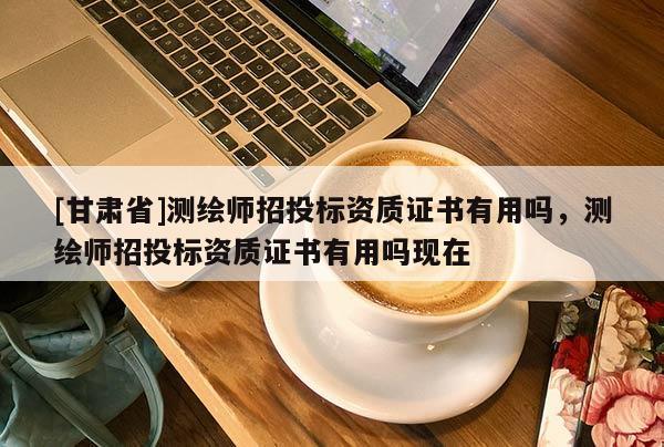 [甘肅省]測繪師招投標資質(zhì)證書有用嗎，測繪師招投標資質(zhì)證書有用嗎現(xiàn)在