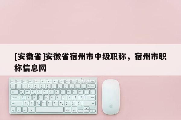 [安徽省]安徽省宿州市中級(jí)職稱，宿州市職稱信息網(wǎng)