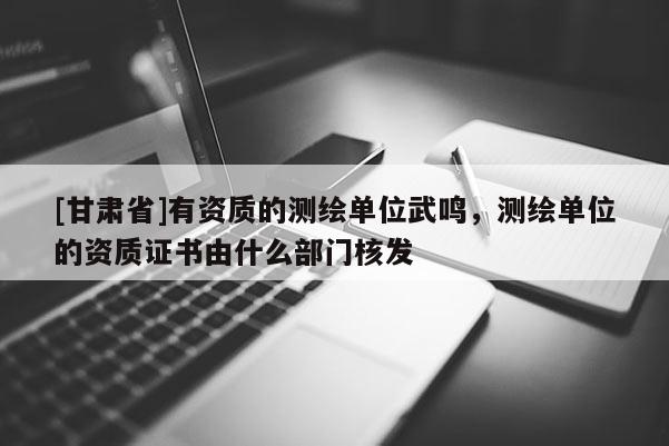 [甘肅省]有資質(zhì)的測繪單位武鳴，測繪單位的資質(zhì)證書由什么部門核發(fā)